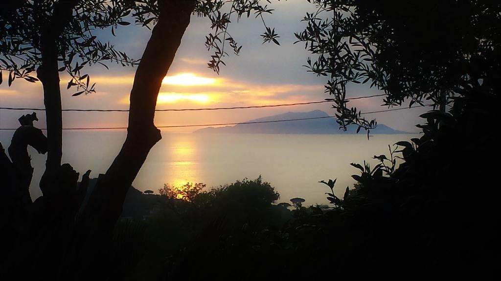 Villa Talea Sant'Agata sui due Golfi Bagian luar foto